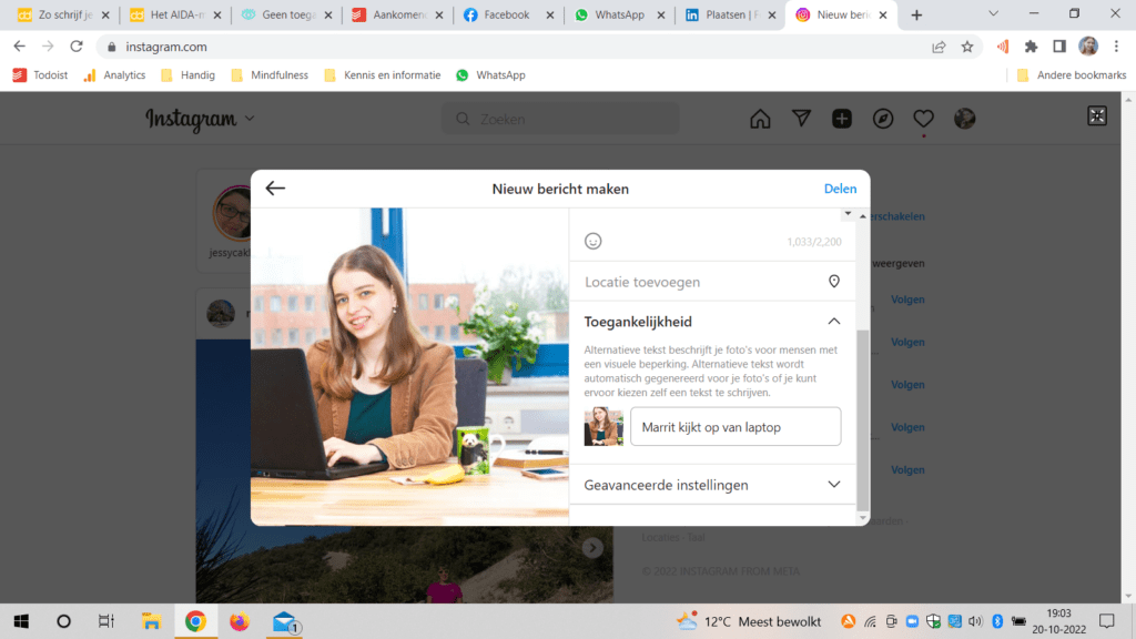 Schermafbeelding waarop je ziet hoe je een alt-tekst invult op Instagram